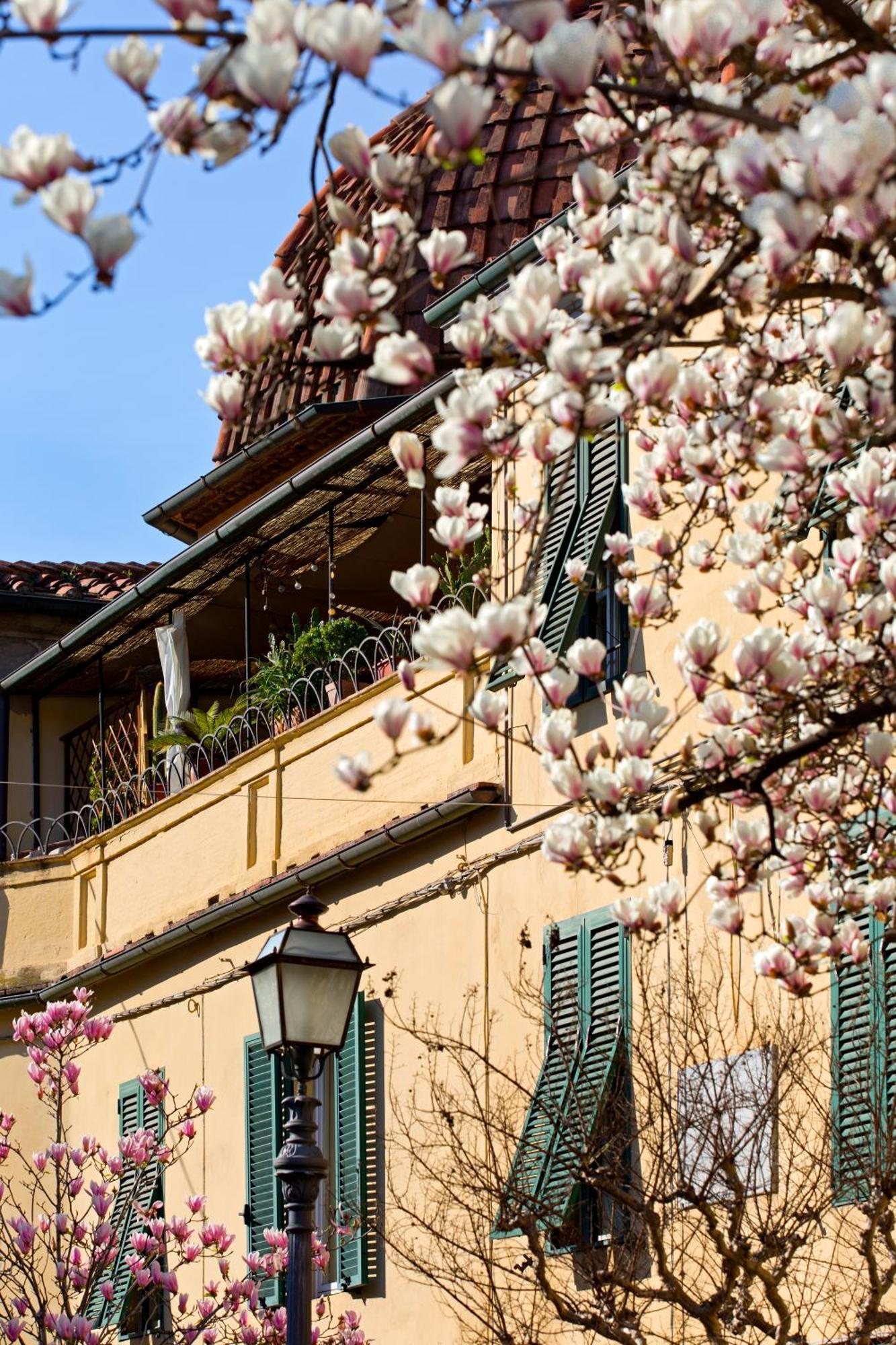 Casa San Girolamo Historic Flat With Cosy Terrace In Lucca'S City Centre מראה חיצוני תמונה