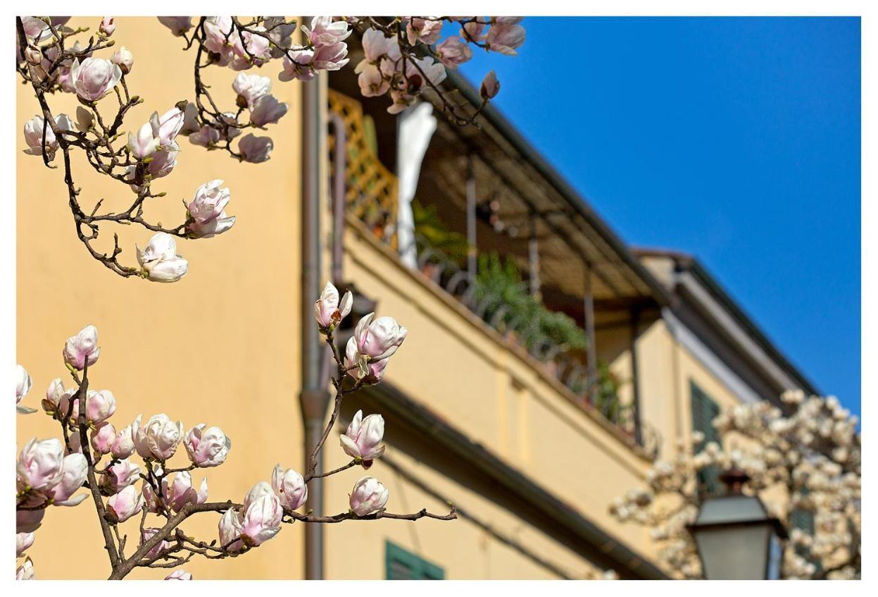 Casa San Girolamo Historic Flat With Cosy Terrace In Lucca'S City Centre מראה חיצוני תמונה