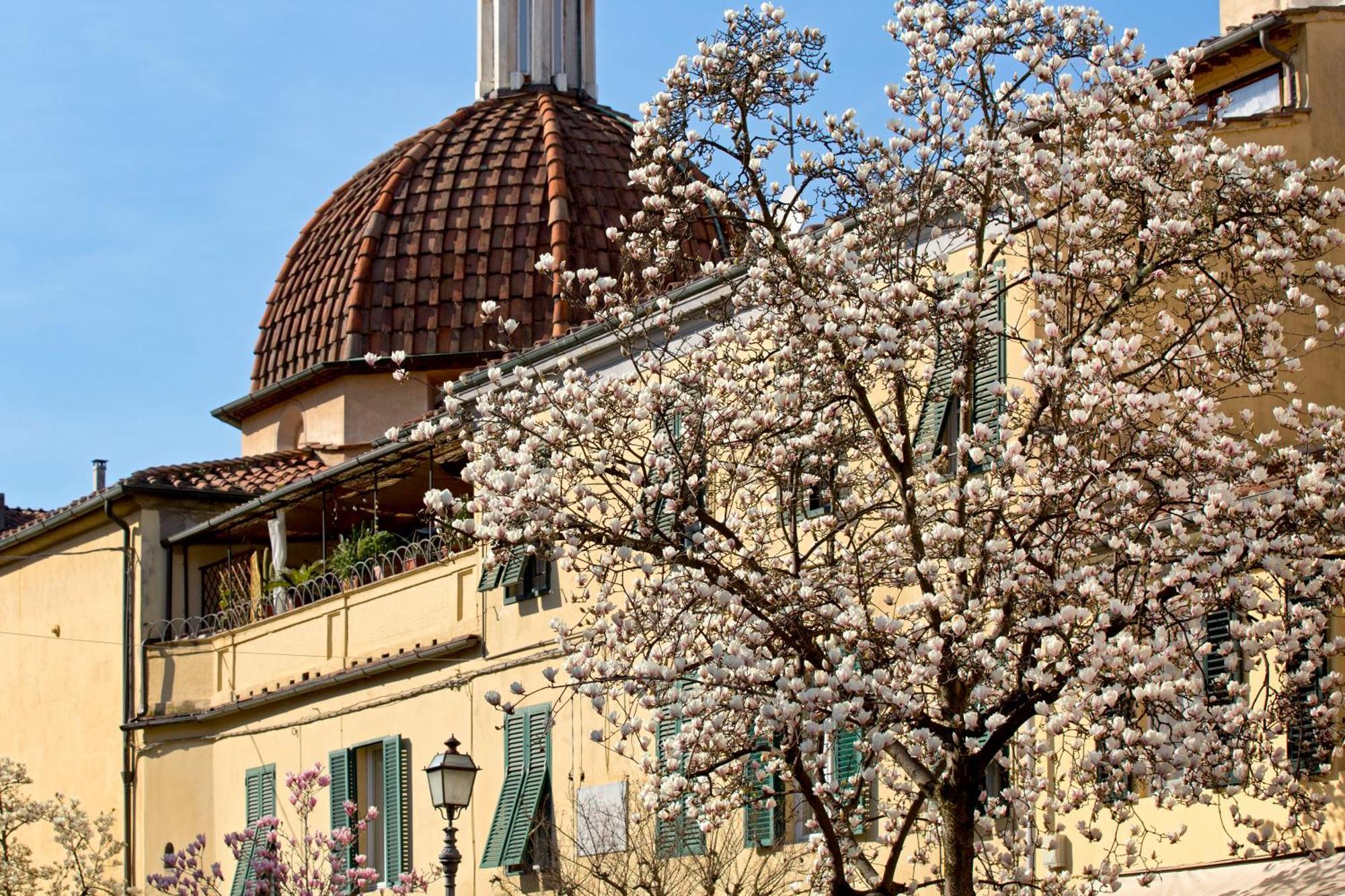 Casa San Girolamo Historic Flat With Cosy Terrace In Lucca'S City Centre מראה חיצוני תמונה